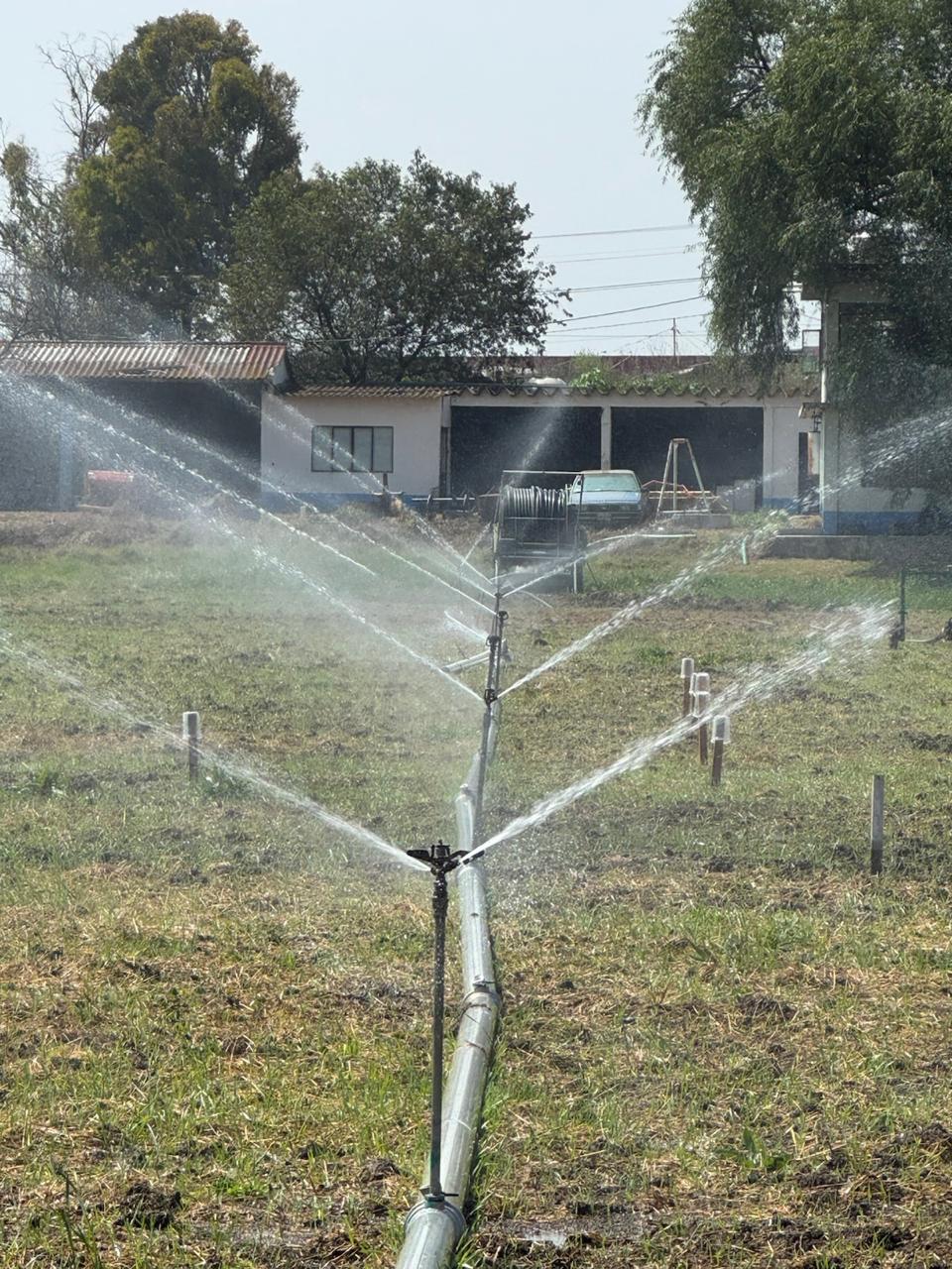 Jardín campestre